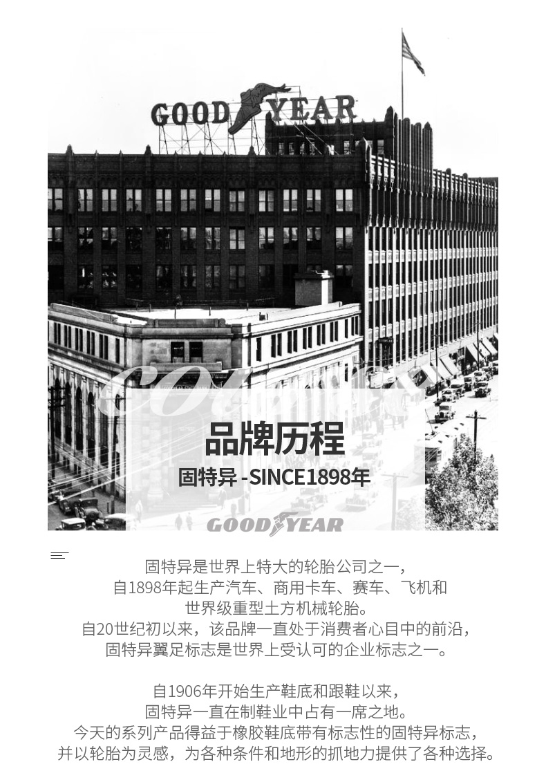 固特异 男士春季款 复古网面休闲鞋 图2