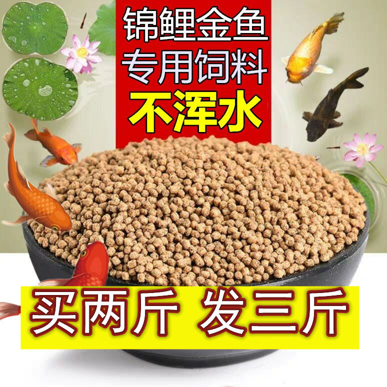 Koi feed Fish food fish feed Small particles goldfish feed Turtle food Ornamental fish General-purpose fish tank floating fish food