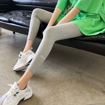Grey beating underpants female outside wearing spring slim fit pure cotton high waist collecting belted 90% small foot elastic movement tight 80% summer