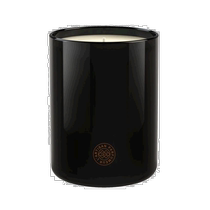 European direct mail LArtisan Parfumeur Artisan fragrance passion candle 250g fresh fragrance