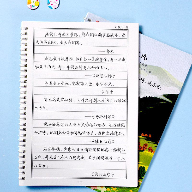 Calligraphy Practice Book for Adults, Hard Pen Calligraphy Practice Book for College Students, Beautiful Handwriting for Men and Women, Cursive Script Practice, Beginner's Quick Learning Writing Practice Book, Fountain Pen Tool