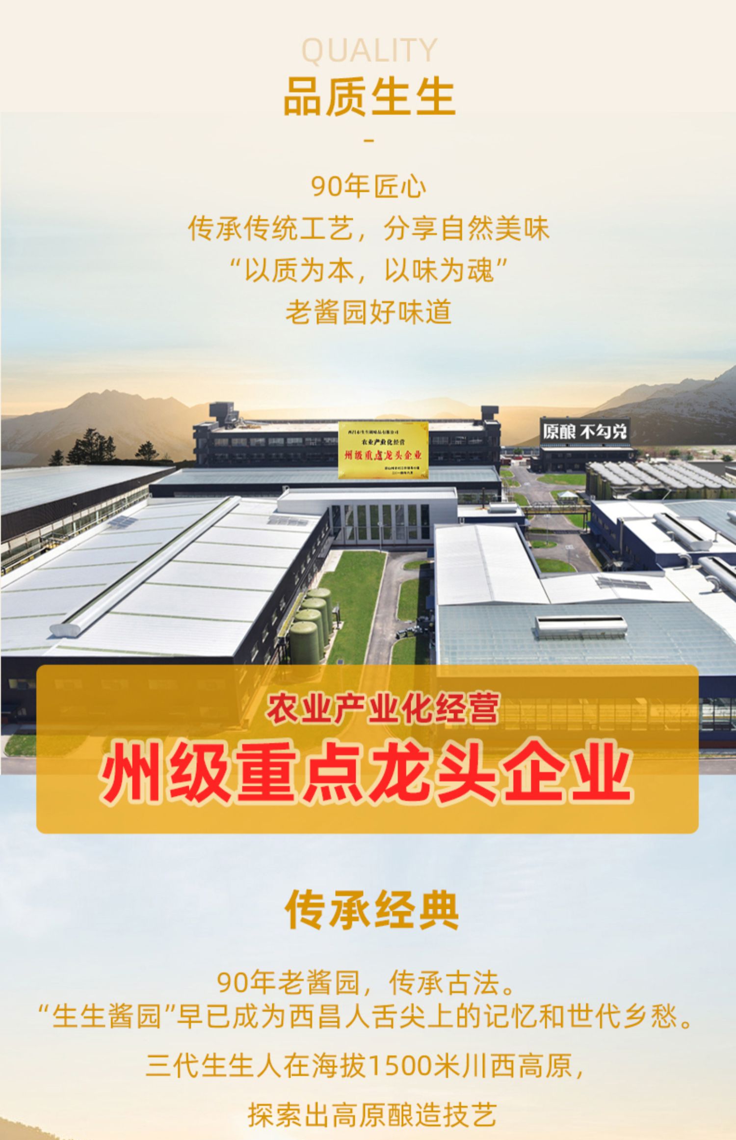 生生黑豆酱油生抽白灼凉拌红烧调味品