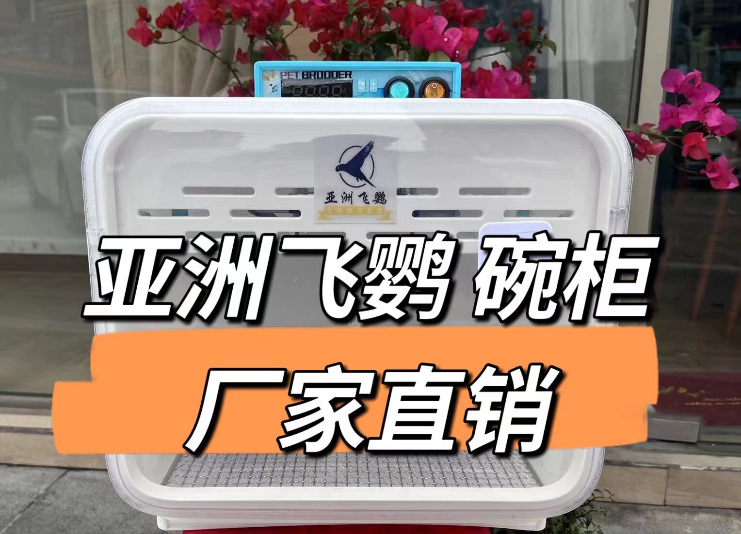 Asian Fly Naut Incubator Bowl Tray Cabinet Q37 Young Birds Yuhu Pianfeng Peony Shunfeng Shipping to Pay
