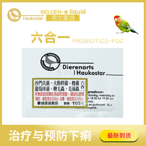 Dutch pigeon six in one 5g