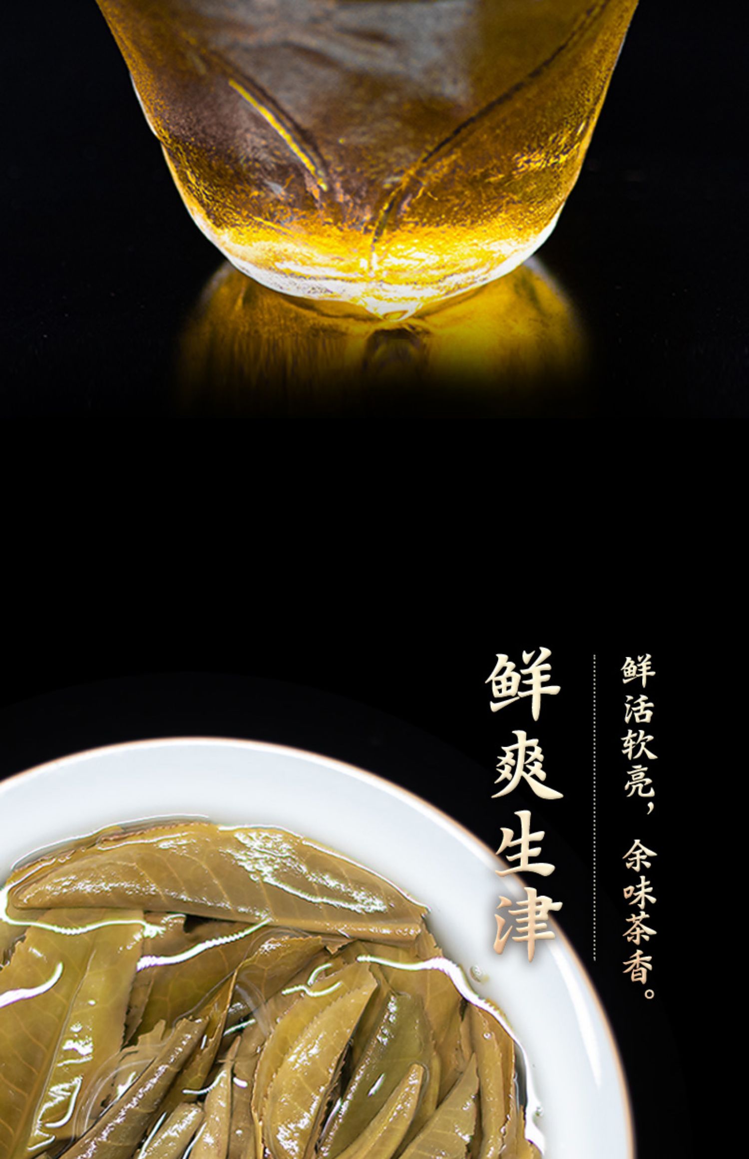 云南春生普洱新茶100g