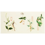 仲景 Zuogui таблетки 45 г/коробка питают почку и питают инь, больную талию и мягкие колен