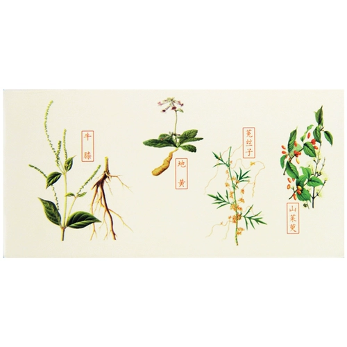 仲景 Zuogui таблетки 45 г/коробка питают почку и питают инь, больную талию и мягкие колен