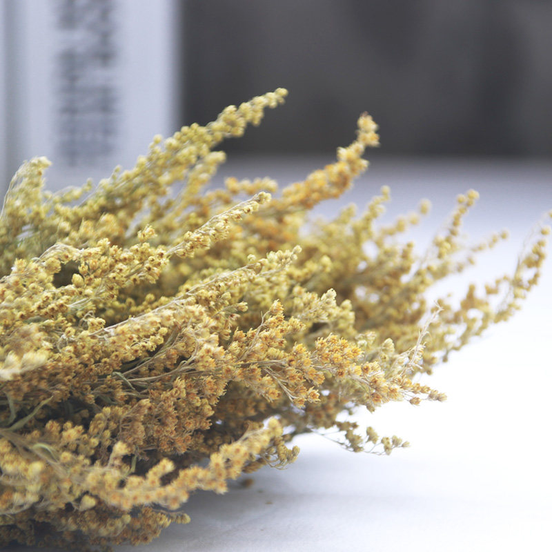 Meimuer natural plant diy dried flower specimen yellow warbler dried flower decorative flower material diy aromatherapy wax plate decoration