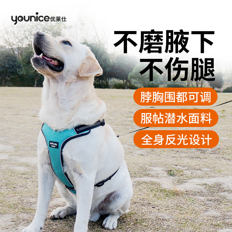Uleshi Kim Mao Labrador Large Dog Dog Rope Sammoye Big Dog Traction Rope Item Ring Dog Holding Baby Bag Walking Dog