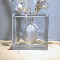 Imported double star translucent translucent square hollow glass brick toilet block wall