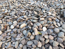 Pebbles for personal use