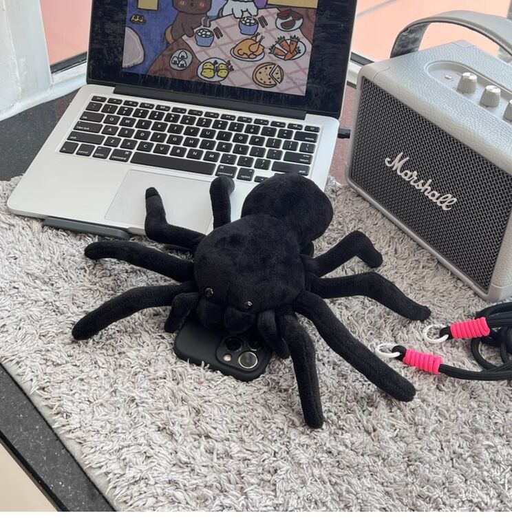 Crossbody Lanyard Strap Plush Black Spider 3D Niche 15, 14, 13, 12 iPhone Case
