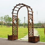 Арочная цветочная рама скалолаза