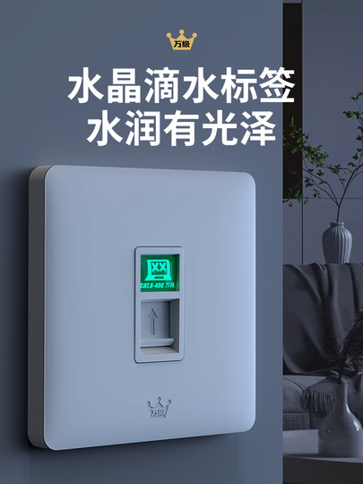 Kategorie 10.000 Super 66778 10G geschirmtes 86-Typ-Netzwerkkabel-Buchsenfeld-Netzwerkmodul Glasfaser-Netzwerk-Port-Switch