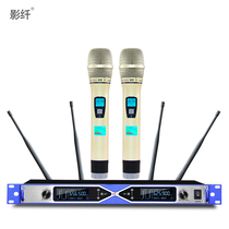 True diversity wireless microphone Professional u segment one for two performance microphone Wedding stage host outdoor microphone