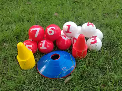 (Moral Education)Gaozhier Ball Wiser Set 11 discs 10 yellow signs 10 red signs