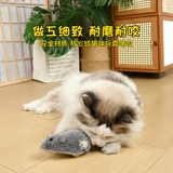 Игрушки для мышей и кошек, палочки для развлечения котят, самостимулирующие и снимающие скуку артефакты, качественные продукты для физического потребления кошек.