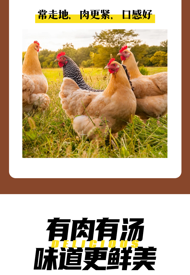 汤小罐速食鸡汤加热即食4罐