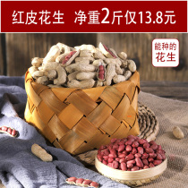 Northeast red-clothed peanuts fresh red-skinned peanuts with shelled peanuts 1000g