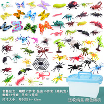 Childrens insect toys Plastic simulation animal model Spider butterfly Bee Centipede Ant size ornament set