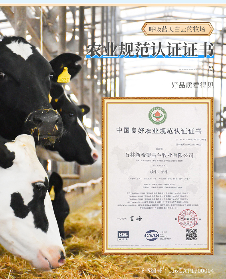 新希望旗下 雪兰 全脂纯牛奶200g*12盒*2整箱 图4