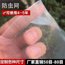 Insect-proof mesh Window screen mesh Pig farm thickened encrypted anti-mosquito net Vegetable garden greenhouse Fruit tree Bayberry tree anti-mosquito special