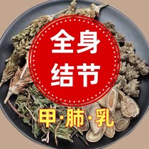 Dandelion tea to eliminate knots Prunella vulgaris tea to eliminate thyroid glands lung glass grinding micro-nodules mammary glands tea to eliminate knots