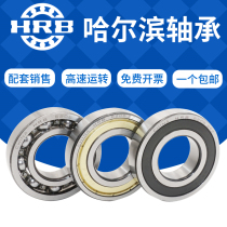 Harbin HRB 6300 6300 6301 6302 6303 6304 6304 6306 6306 6307ZZ RS RZ
