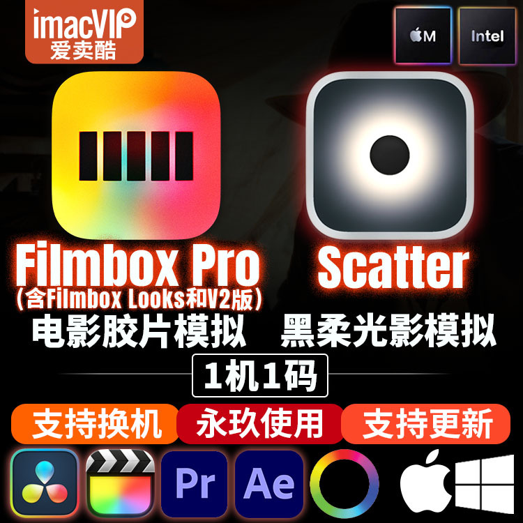Filmbox Pro 3.6.0 Davinci Fcpx Film Film Simulation Scatter 2.9.0 Halo Effect