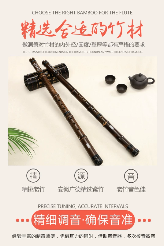 Dongxiao Zizhu Một phần Xiao Xiaoxiaoxiao Tám lỗ Xiaodi Nhạc cụ 8 lỗ Biểu diễn chuyên nghiệp dành cho người lớn Xiaozhuxiao Giới thiệu Sơ cấp - Nhạc cụ dân tộc