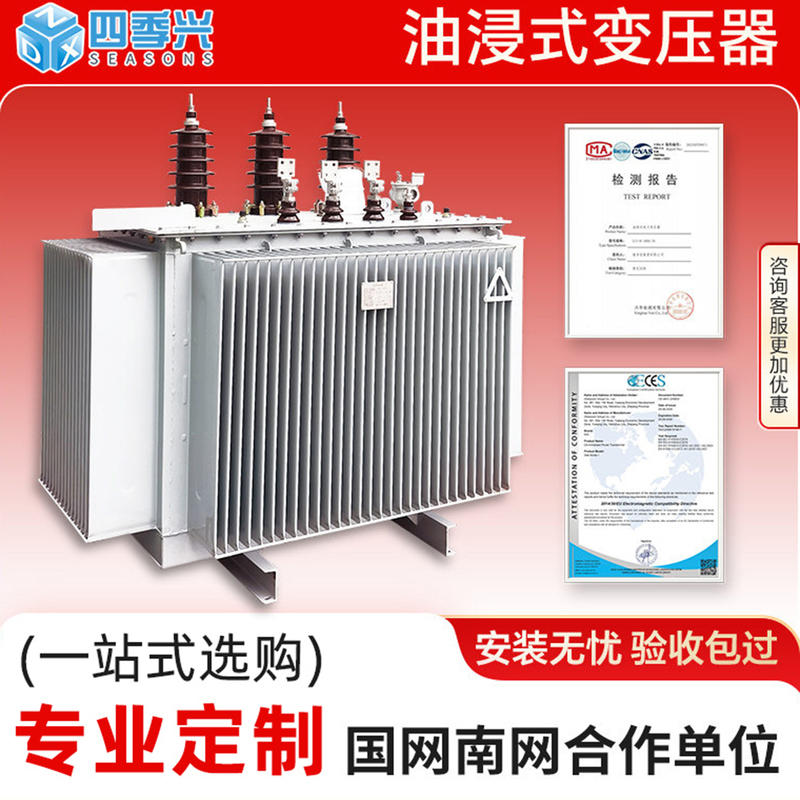 S11/S13/S20 Oil-Immersed Transformer Power Transformer 250/315/600Kva10Kv High Voltage Three-Phase S11/S13/S20 Oil-Immersed Transformer Power Transformer 250/315/600Kva10Kv High Voltage Three-Phase