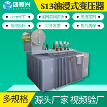 S13-M-100KVA oil-immersed power transformer high voltage three-phase S11 with load-on-voltage S9-160KVA oil change