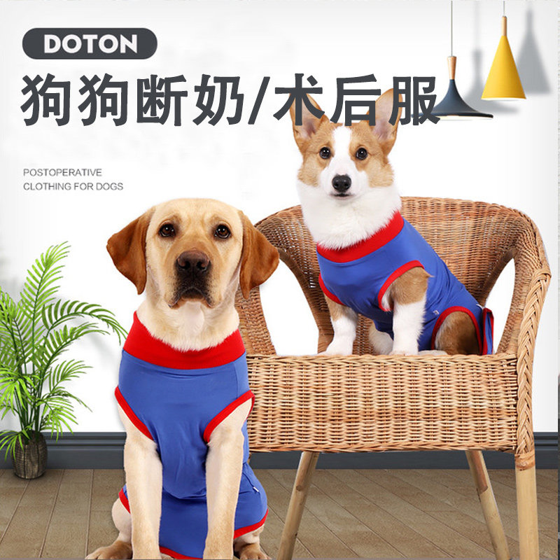 狗狗斷奶服母狗絕育服母狗斷奶服術後防舔傷口透氣手術服護理服