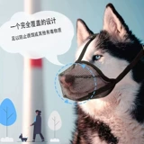 Корпус собаки против анти -руга