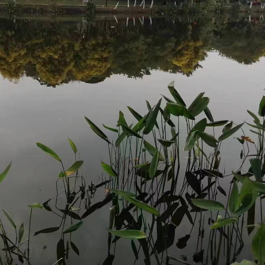 亿方水家居