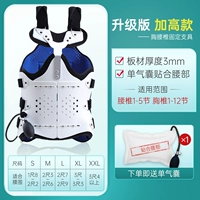 Обновление и увеличение (SF бесплатная доставка) независимо от мужчин и женщин