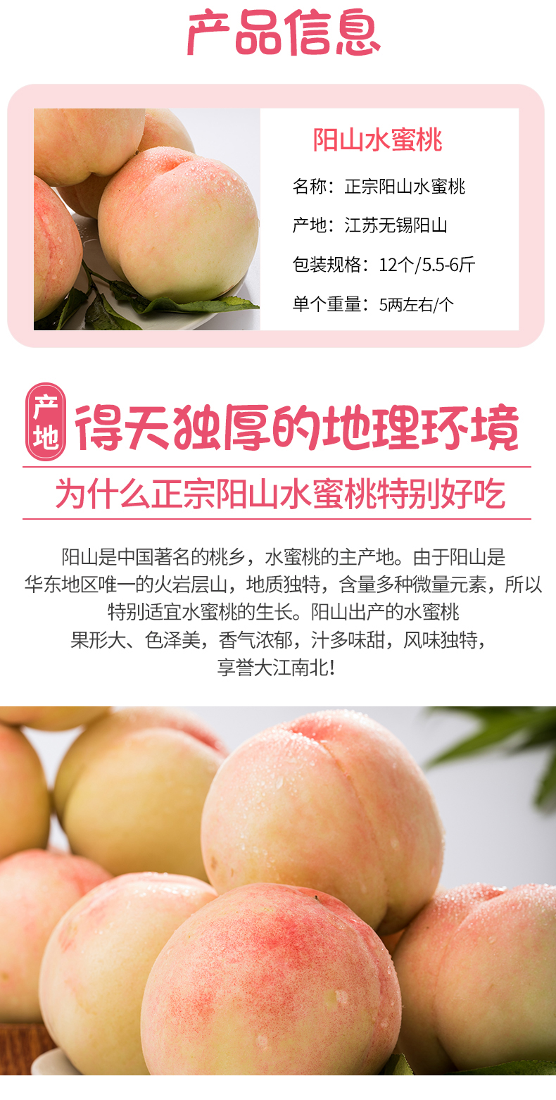 正宗无锡阳山 水蜜桃 12个 单个5两左右 图2