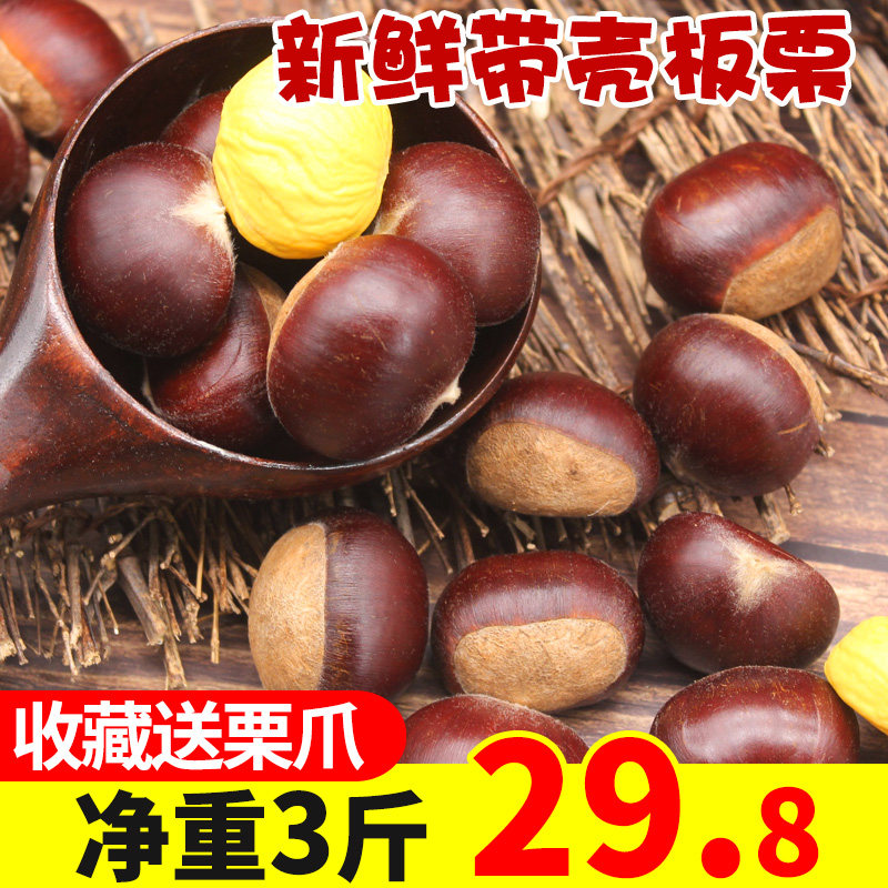 Chestnut raw fresh chestnut raw fresh chestnut kernel farm oil chestnut chestnut 3 pounds of corn 5