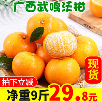 Wo citrus fresh Guangxi Wuming Wo Citrus 9 pounds of seasonal fruit oranges than Huangdi Gong Citrus sugar orange honey orange 10