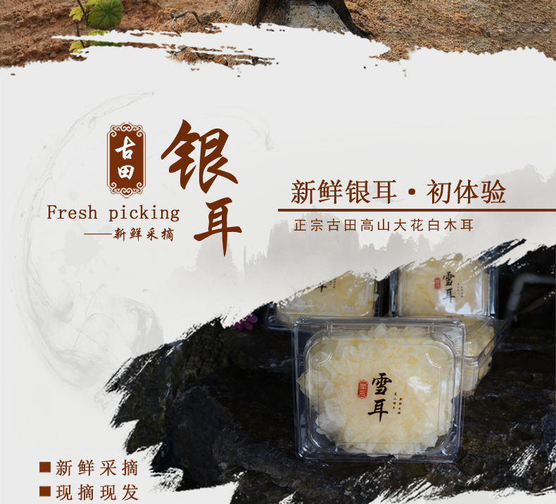 闽妃 古田新鲜银耳 6朵盒装 图2