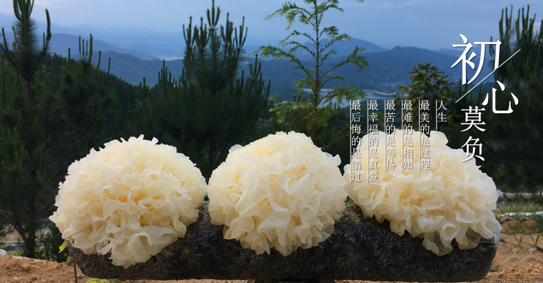 闽妃 古田新鲜银耳 6朵盒装 图1