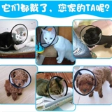 Бесплатная доставка Элизабет Круг Регулируемая крышка головки собаки кошка красавица Anti -Bite -защищающаяся от навязчивая крышка кошки