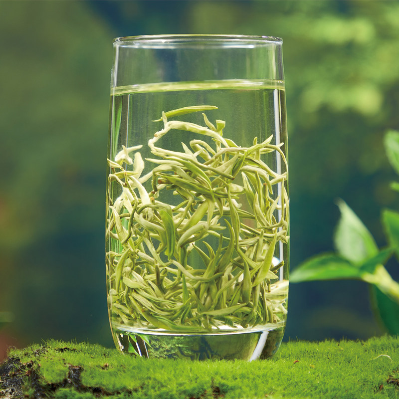 都匀农家毛尖茶