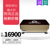 Taiwan Four Seasons Cell Rhythm Magician Vertical Sports Technology Shaping New Concept