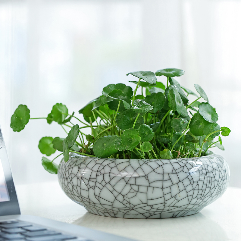 Creative large round nonporous refers to flower pot ceramic meaty plant POTS elder brother up with open hydroponic copper wire grass flower pot