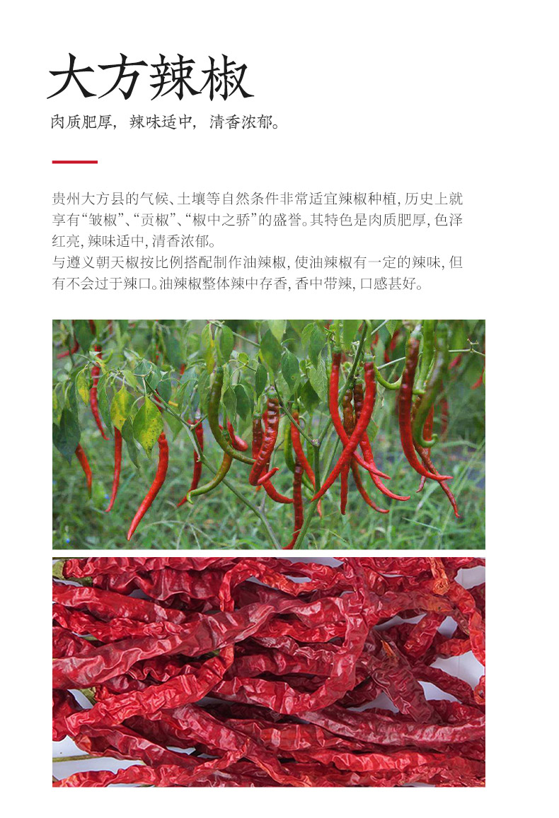 安享好物 安享A级油辣椒-辣染油辣椒 团标 