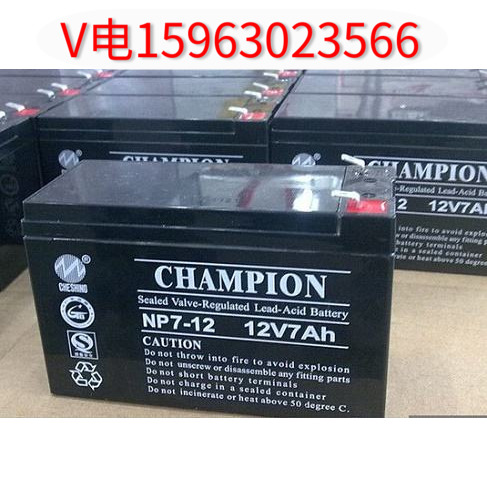 Champion NP12v7ah 12ah 38ah 100ah battery fire host backup elevator UPS battery