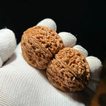 Wenwan walnut Nanjiang stone complete product without repair old model Zhuolu nest cannonball pile first generation fine matching old tree wild play