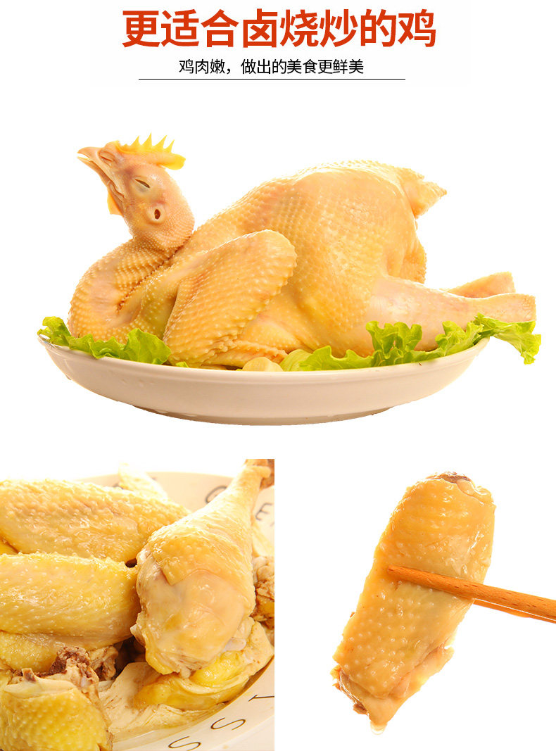 态谷食代 生态散 3个月 襄阳三黄鸡 2.5斤*2只 图3