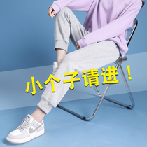 Gray pants womens nine-point spring and autumn new casual bunch feet loose thin ins sports pants small eight-point pants